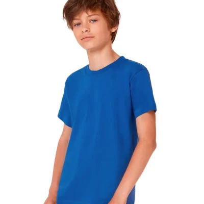 BCTK301